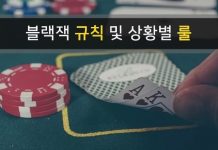 블랙잭 (BLACKJACK) 규칙 및 상황별 룰