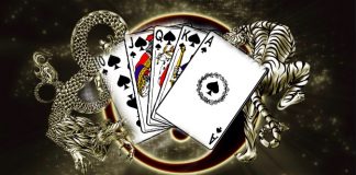 드래곤 타이거 온라인 규칙&룰 가이드