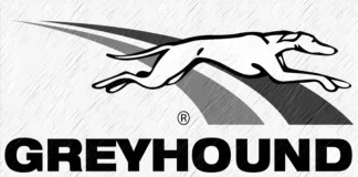 그레이하운드 레이싱 – 개경주 초간단 가이드 개경주