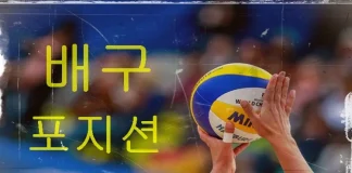 배구 포지션 알고 분석하자 배구 포지션