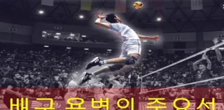 배구 용병 중요성 알아보고 분석하자 배구 용병