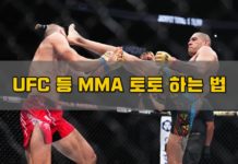 UFC 토토 MMA 토토 하는법 썸네일