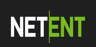 넷엔트 슬롯 게임 제작사 소개 및 이용 방법 넷엔트