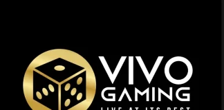 비보게이밍 카지노 소개 및 리뷰 비보게이밍